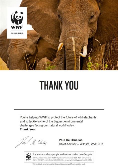 wwf elephant adoption|Adopt an African Elephant .